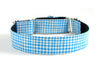 Martingale Collar in Duck (blue) LAST ONE!