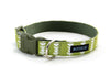 Buckle Dog Collar in Emily