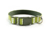 Buckle Dog Collar in Emily