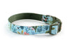 Buckle Dog Collar in Fern