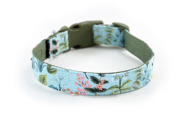 Buckle Dog Collar in Fern