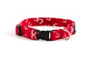 Extra Small Dog Collar in Finn