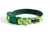 Buckle Dog Collar in Florence
