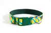 Buckle Dog Collar in Florence
