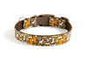 Buckle Dog Collar in Greenbean
