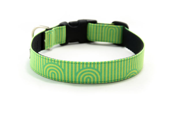 Buckle Dog Collar in Guinness (Green)