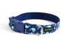 Buckle Dog Collar in Gus