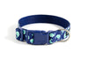 Buckle Dog Collar in Gus