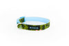 Buckle Dog Collar in Raina