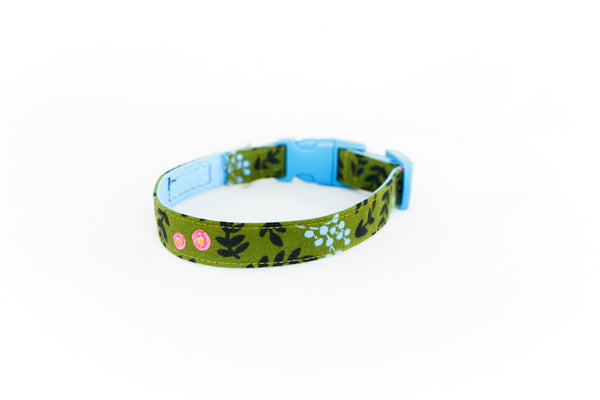 Buckle Dog Collar in Raina