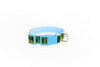 Buckle Dog Collar in Raina