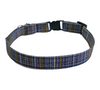 Cat collar in Howard