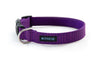 Buckle Dog Collar in Jessica