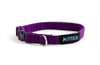 Extra Small Dog Collar in Jessica
