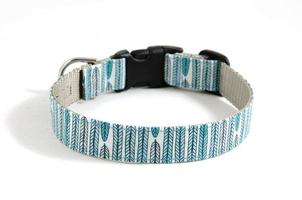 Buckle Dog Collar in Joon