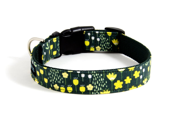 Buckle Dog Collar in Kate