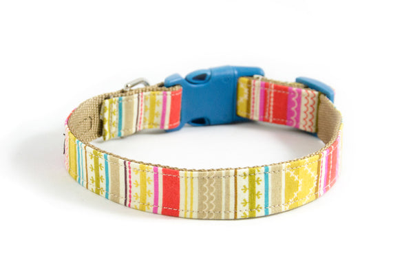 Buckle Dog Collar in Leche