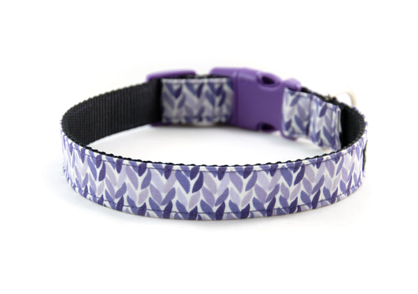 Buckle Dog Collar in Lovey