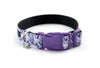 Buckle Dog Collar in Lovey