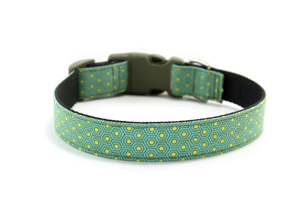 Buckle Dog Collar in Manuka