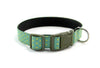 Buckle Dog Collar in Manuka