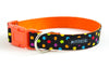 Buckle Dog Collar in Merry ALMOST SOLD OUT