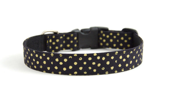 Buckle Dog Collar in Miss Otis