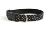 Buckle Dog Collar in Miss Otis