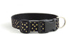 Buckle Dog Collar in Miss Otis