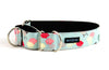 Martingale Collar in Mrs. Norris