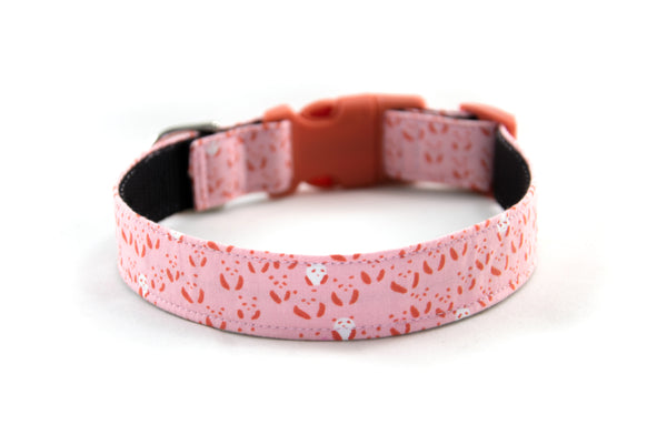 Buckle Dog Collar in Nellie