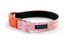 Buckle Dog Collar in Nellie