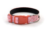 Buckle Dog Collar in Nellie