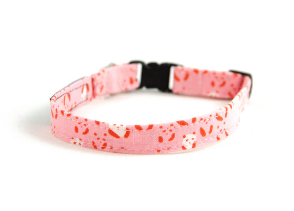 Cat collar in Nellie