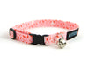 Cat collar in Nellie