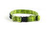Extra Small Dog Collar in Oscar