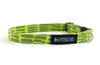 Extra Small Dog Collar in Oscar