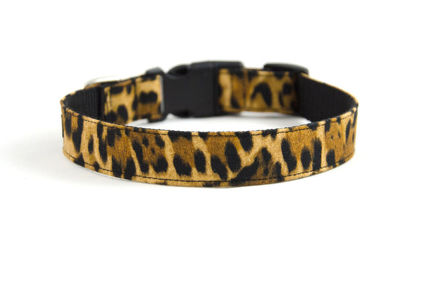 Buckle Dog Collar in Punky