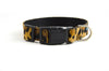 Buckle Dog Collar in Punky