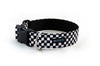 Buckle Dog Collar in Rudy