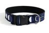 Buckle Dog Collar in Scout