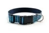 Buckle Dog Collar in Simon