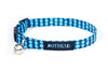 Cat collar in Simon