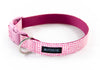 Buckle Dog Collar in Valentine