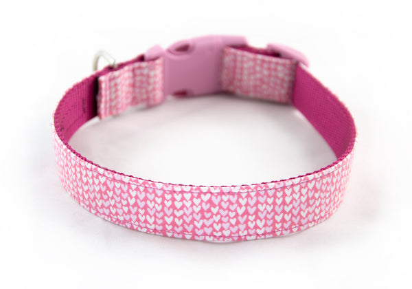 Buckle Dog Collar in Valentine