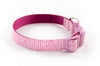 Buckle Dog Collar in Valentine