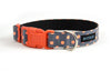 Buckle Dog Collar in Zoe (orange)