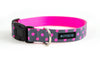 Buckle Dog Collar in Zoe (pink)