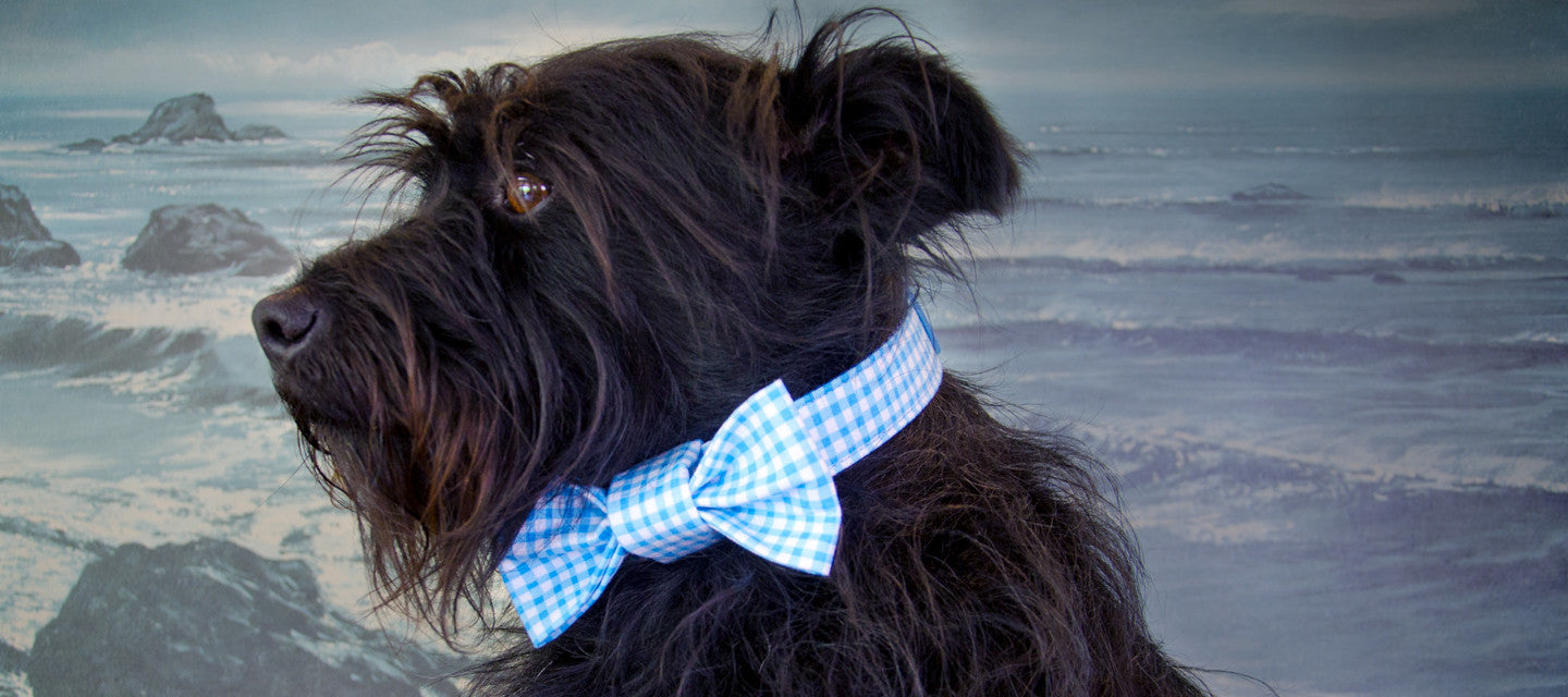 Welcome to the doghouse.