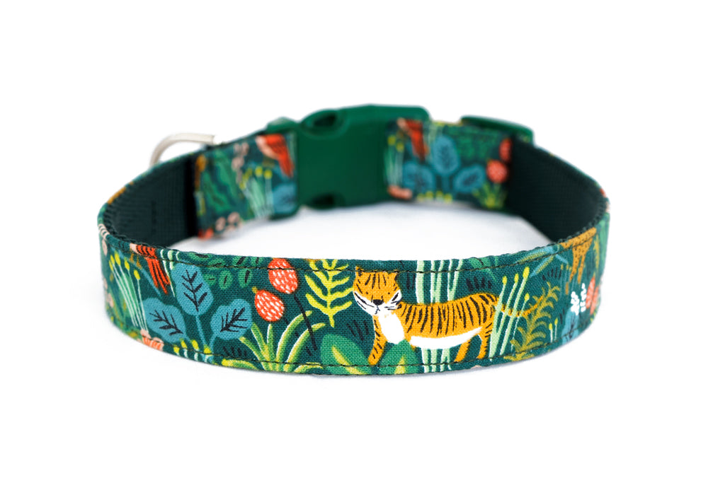 Buckle Dog Collar in Simba (green)